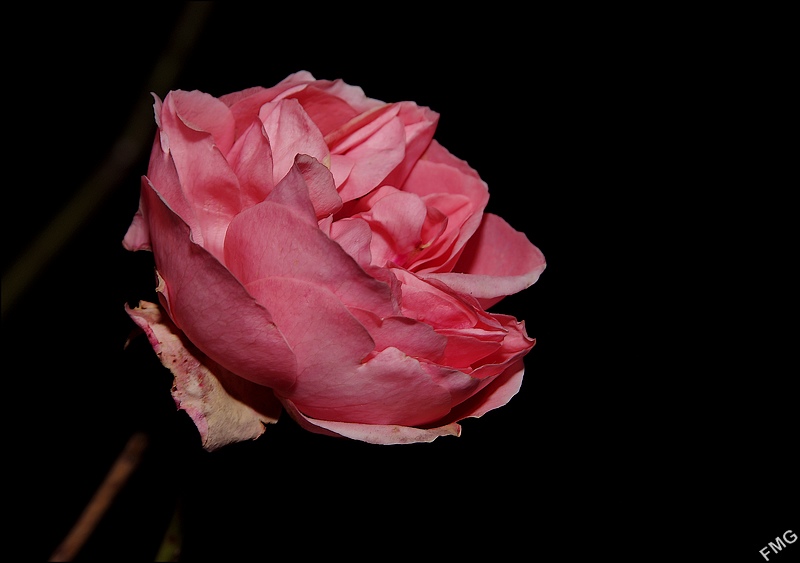 http://img96.xooimage.com/files/1/2/3/imgp7553_c_v-42b450c.jpg