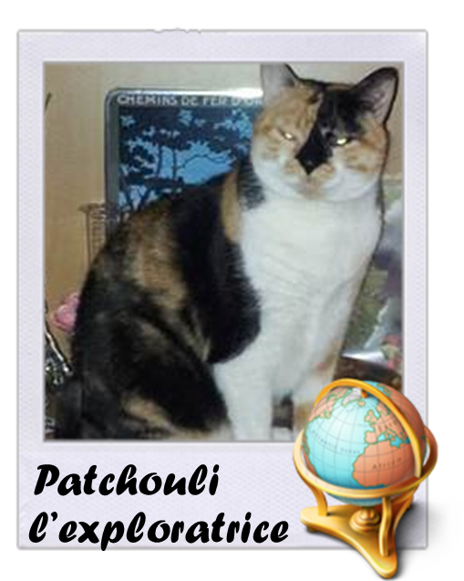 Patchouli