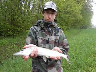 MAI 2013 Brochet-45-cm--1-mai-2013-3dd84ca