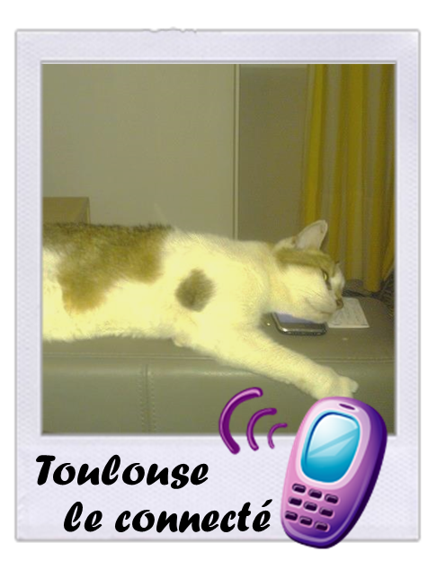 Toulouse
